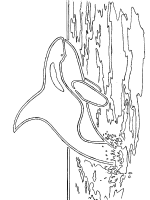 A coloring page of sea animal